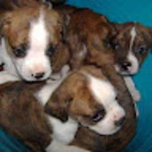 Meet your Posher, Claudia